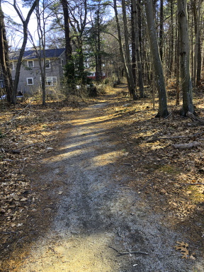 Negus Park alternate trail