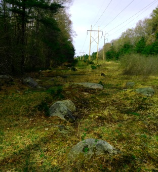 An alternate loop trail through a utility line on the connector portion of the Rockland Fireworks Trail.