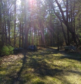 Gate near the walking trails at forge pond that leads into the forest trails.