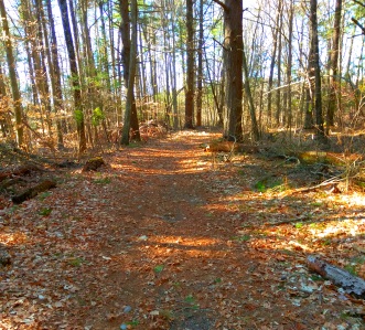 Loop section of the Rockland Fireworks Trail.
