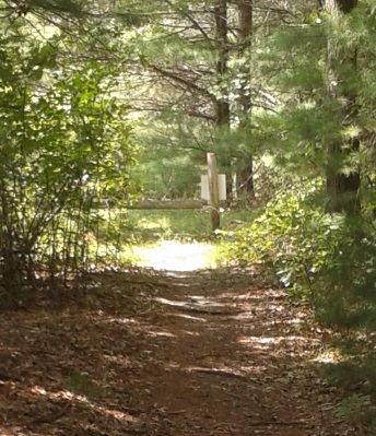 blue blaze trail leads out to a cart path in thaddeus chandler sanctuary