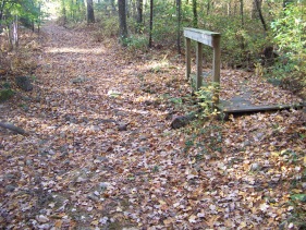 easing over wetland on french's stream trail