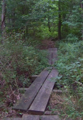 A portion of boardwalk hiking trail through George Ingram Park.