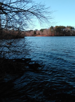 Viewpoint of wampatuck pond at Hanson Veterans Memorial Town Forest.