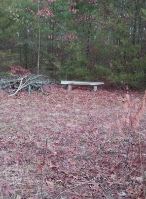 Trail side bench at Hanson Veterans Memorial Town Forest.