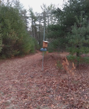 Birdhouse in the meadow area at Hanson Town Forest.