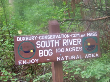 south river bogs trail head sign