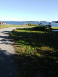 The far end of the peninsula at Webb Memorial offer views of Boston Harbor.