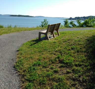 Bench on hiking trail up Mary's point.