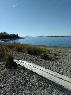 View of beach access from Haviland Memorial