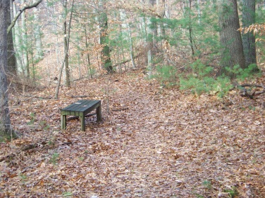 bench at a trail junction at whortleberry hollow in hingham