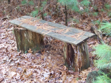 one of the many benches placed in whortleberry hollow in hingham