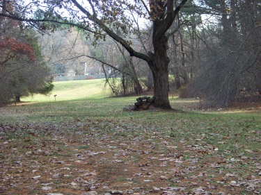 meadow at whortleberry hollow